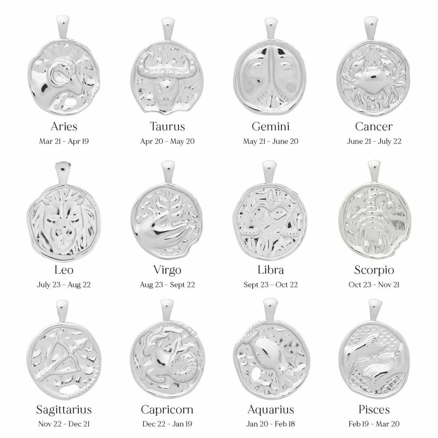 Shop YCL Jewels Star Sign & Birthstone Pendants | Large Zodiac Ii Pendant - Sterling Siver